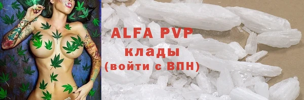 спайс Арсеньев