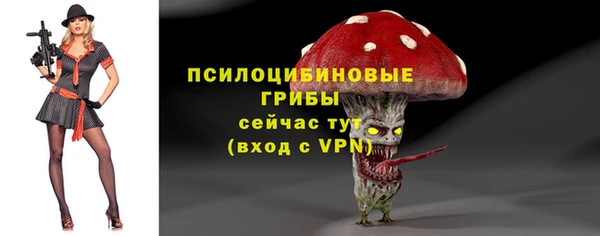 МДПВ Аркадак