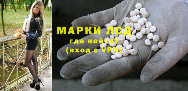 МДПВ Пересвет